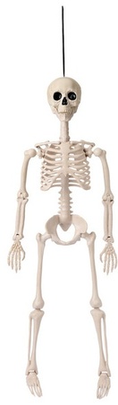 Bone
