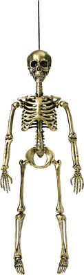 THE HALLOWEEN COLLECTION 36