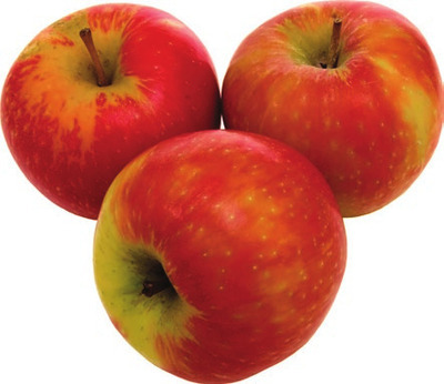 Honeycrisp Apples or Bartlett Pears