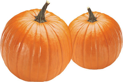 Jack O'Lantern Pumpkins