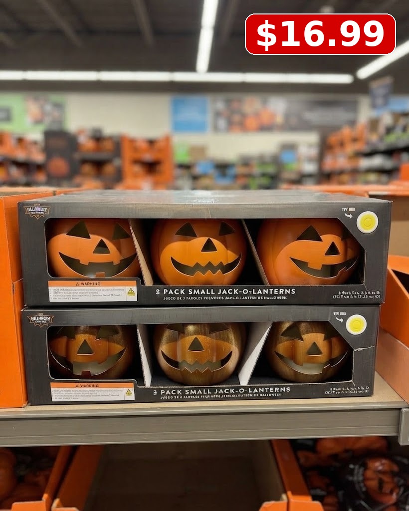 The Halloween Collection 3 pack Small Jack O Lan, Orange Pumpkins