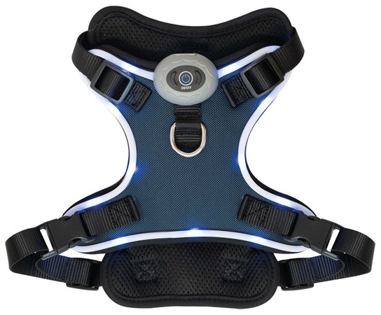 Heart To Tail LED Dog Harness - Blue