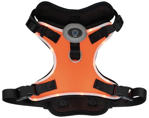 Heart To Tail LED Dog Harness - Orange
