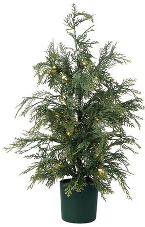 Merry Moments 2Ft LED Tabletop Tree - Cypress Tree
