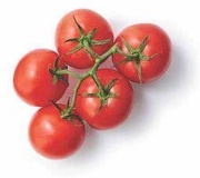 Tomatoes on the Vine