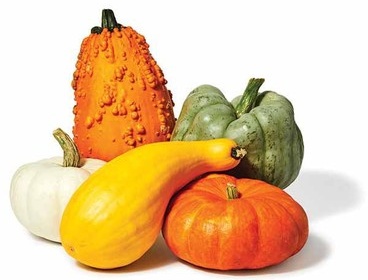 Heirloom Pumpkins