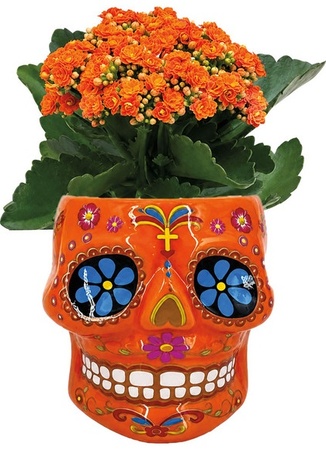 Ceramic Bloom - 