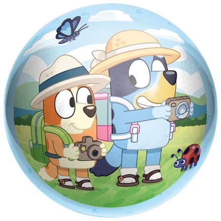 Hedstrom Licensed Character Ball - Bluey Adventure