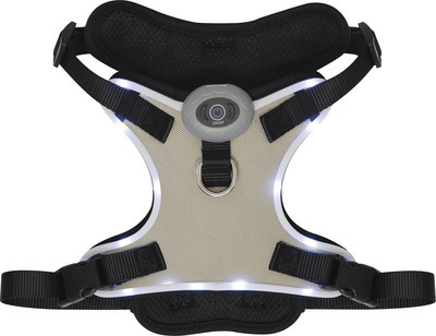 Heart to Tail LED Dog Harness