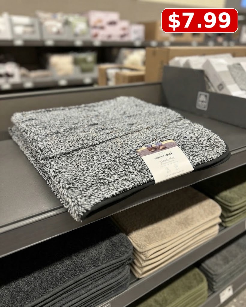 Kirkton House Brown Oversized Absorb Mat - 24" X 36"
