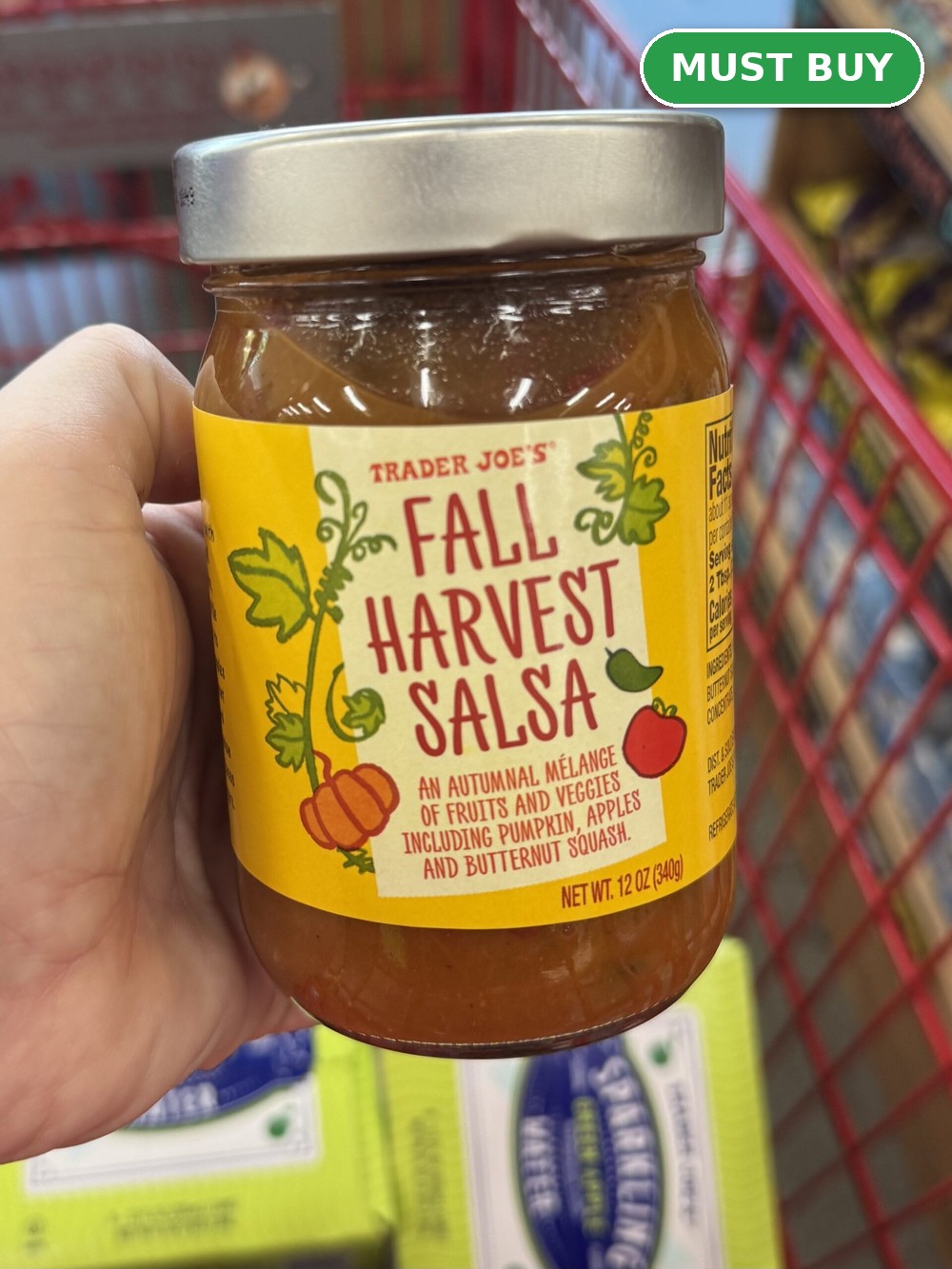 Fall Harvest Salsa &mdash; Must Buy