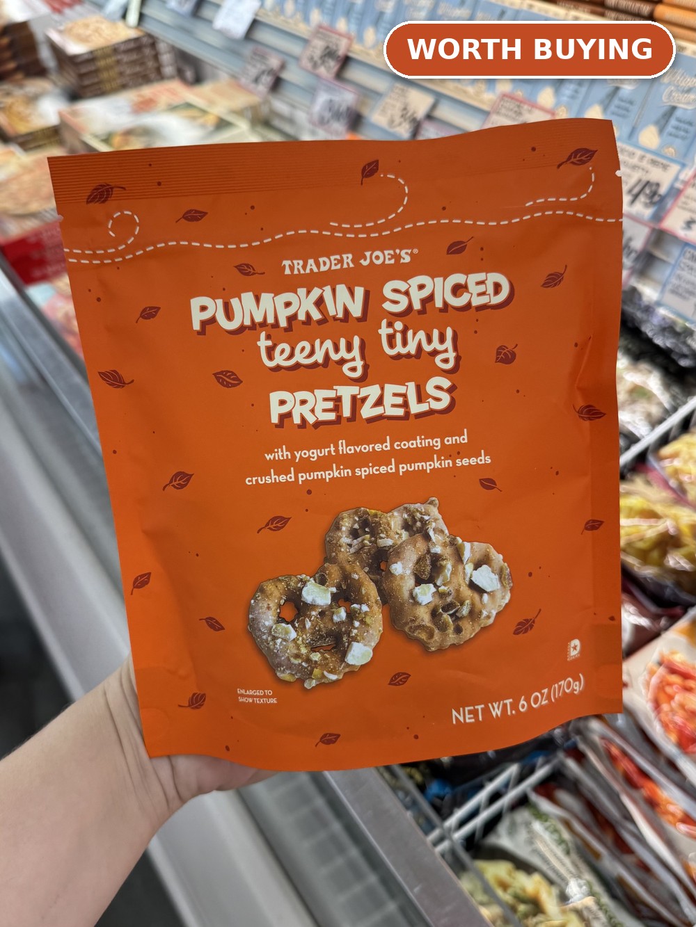 Pumpkin Spiced Teeny Tiny Pretzels &mdash; Worth Buying