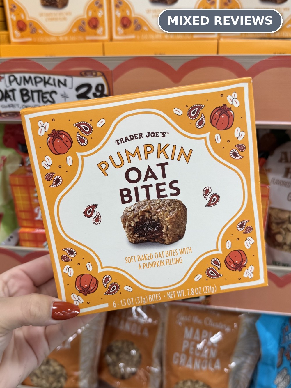Pumpkin Oat Bites &mdash; Mixed Reviews