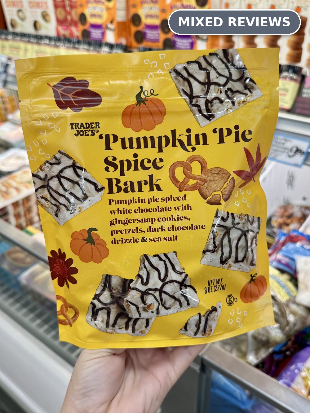Pumpkin Pie Spice Bark &mdash; Mixed Reviews