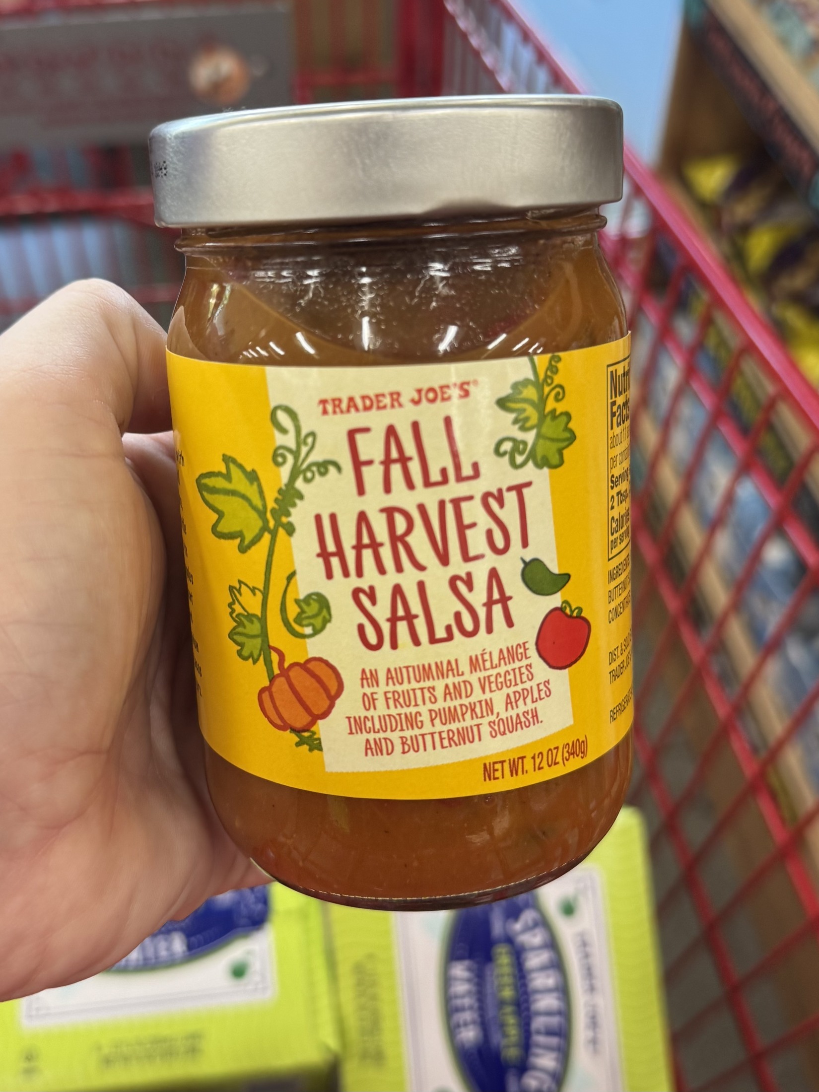 Trader Joe's Fall Harvest Salsa